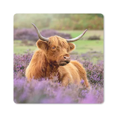 Produktbild von MuchoWow® Mauspad Mousepad Schottischer Highlander - Blumen - Licht 20x20 cm - Mousepads - Maus Mat - Pad - Mausunterlage - Desk Mat - Bureauartikeln