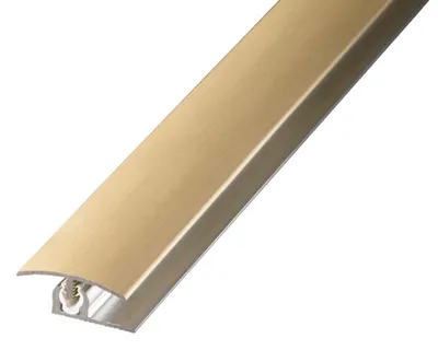 Produktbild von PROLINE Champagne 2 Meter Bodenprofil, PROVARIOclip Universal Aluminiumprofil eloxiert gebürstet, Kantenschutz Laminat Fliesen Übergang, Sockelleiste Montagesystem