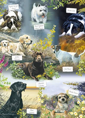 Obrázok produktu pre Vydrí domček Puzzle Zvieracie puzzle Najlepší priateľ človeka 1000 dielikov