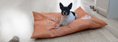 Produktbild von XL Hundekissen Hundebett Schlafplatz Hundematte Tierbett Katzenbett 70x100 cm orange