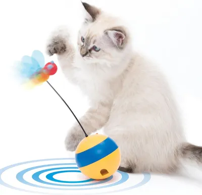 Zdjęcie produktu dla Zabawka dla kota na przysmaki Catit Play "Spinning Bee", z laserem