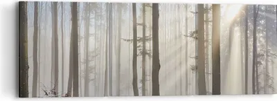 Produktbild von Bild auf Leinwand - Leinwandbild - Wald Baum Natur - 90x30cm - Wand Bild - Wanddeko - Wandbilder - Leinwanddruck - Bilder - Kunstdruck - Wanddekoration - Leinwand bilder - Wandkunst - CA90x30-3749