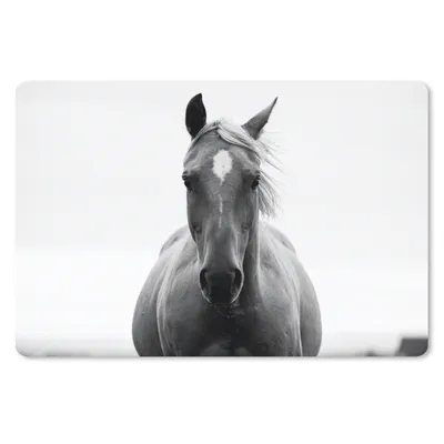 Produktbild von MuchoWow® Schreibtischunterlage Pferd - Schwarz - Weiß - Porträt 60x40 cm - XXL Mauspad - Großes Mauspad