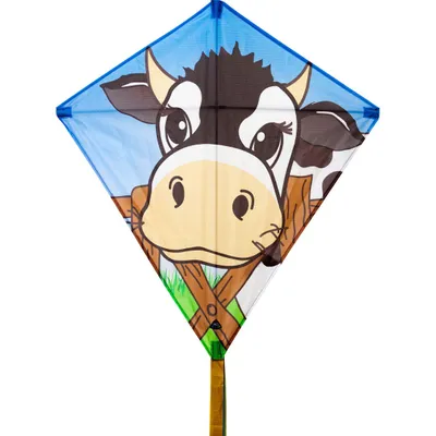 Produktbild von HQ Kinderdrachen Eddy Cow 4031169002006