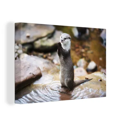 Obrázek produktu pro OneMillionCanvasses® Malba na plátně Nástěnná malba na plátně - Vydra stojí vzpřímeně - 150x100cm