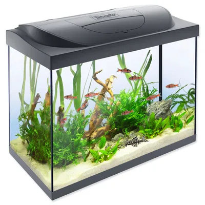 Image de Aquarium Starter Line LED 61 x 32 x 51 cm 80 litres