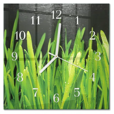 Immagine prodotto di Orologio da parete Tulup Glasuhr, orologio da cucina, vetro vero, 30x30 cm, design moderno e decorativo, silenzioso, lancette bianche - motivo: erba