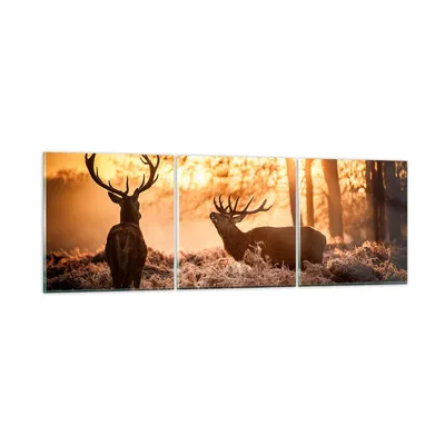Produktbild von Bilder auf glas - Deer Heidekraut Tier - 120x40cm - Glasbilder - Wandbilder - Kunstdruck - zum Aufhängen bereit - Wanddekoration aus Glas - Glas Bilder - Wandbild auf Glas - 3 Teile - GCA120x40-3043
