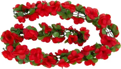 Immagine prodotto di Ghirlanda di fiori di basilico rosso