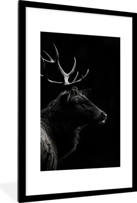 Produktbild von MuchoWow® Gerahmtes Poster Hirsch - Schwarz - Porträt - Geweih - Tiere 60x90 cm - Poster mit Schwarzem Bilderrahmen Wandposter Rahmen Foto Bilder - Dekoration - Wandposter Wohnzimmer - Hochwertig