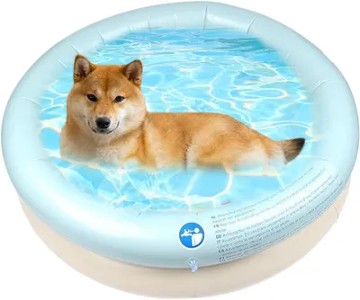 Produktbild von Tragbarer, faltbarer Hundepool und Badewanne für Haustiere, Welpen und Katzen im Innen- und Außenbereich