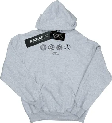 Image de Fantastic Beasts - Sweat à capuche pour homme BI9661 (L) (Gris)