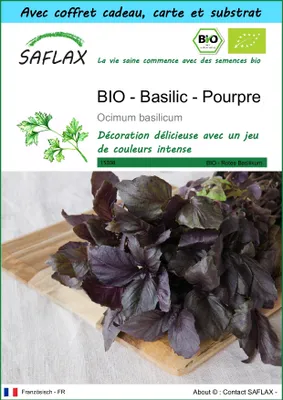 Image de SAFLAX Ensemble-cadeau -- Basilic - Pourpre - 400 graines - Ocimum