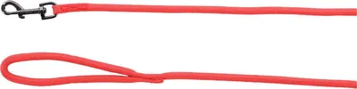 Produktbild von Flamingo Leine Aiden rot, Länge: 10 m