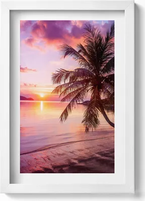 Produktbild von Palme am Strand bei Sonnenuntergang– Wandbild mit Rahmen – Gerahmtes Bild  – Wanddekoration – 20x30 cm – Weiß