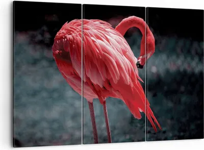 Produktbild von Bild auf Leinwand - Leinwandbild - 3 Teile - Flamingo Rosa Vogel - 105x70cm - Wand Bild - Wanddeko - Wandbilder - Leinwanddruck - Bilder - Wanddekoration - Leinwand bilder - Wandbild - CE105x70-4551
