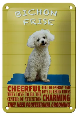 Produktbild von Blechschild Spruch 12x18cm Hund Bichon Frise cheerful
