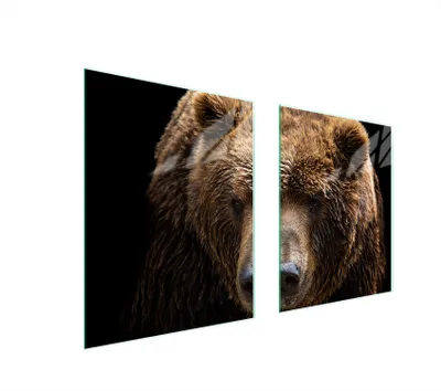 Image de Plaque de protection en verre pour cuisinière 85 x 52 cm – Ours en peluche