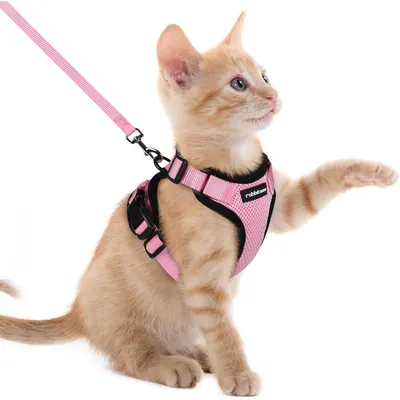 Image de Collier pour chat avec laisse, anti-évasion, réglable, rose, taille XXS