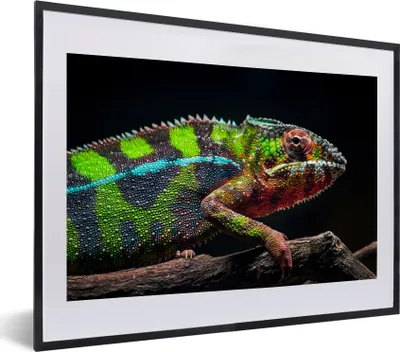 Produktbild von MuchoWow® MuchoWow® Gerahmtes Poster Buntes Chamäleon schaut sich um 40x30 cm - Poster mit zchwarzem Bilderrahmen - Bilderrahmen - Poster im Rahmen