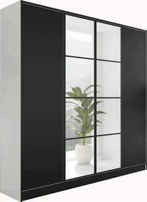 A modern wardrobe with black doors and glass panels, featuring a potted plant inside.