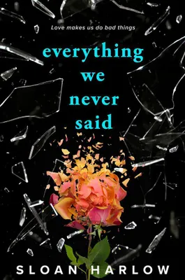 Produktbild von Everything We Never Said