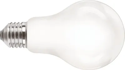 A white LED light bulb with a silver screw base, isolated on a white background.