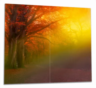 Produktbild von Wallario Herdabdeckplatte aus Glas, Größe 60 x 52 cm 2-teilig, Motiv Bunter Herbst - Waldlandschaft bei Nebel in Regenbogenfarben