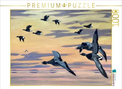 Produktbild von CALVENDO Puzzle Ringelgänse | 1000 Teile Lege-Größe 64x48cm Foto-Puzzle für glückliche Stunden