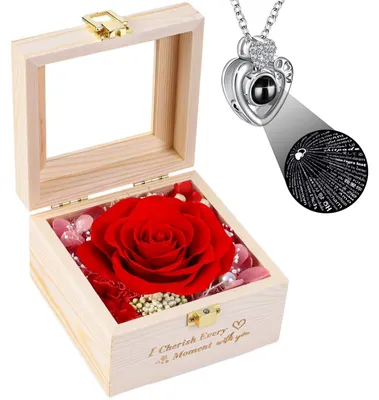 Ewige Rose im Geschenkset mit Herz-Halskette für Damen