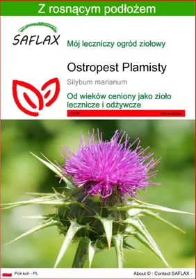 Zdjęcie produktu dla SAFLAX - Ostropest Plamisty - 75 Nasiona - Z podłożem uprawowym wolnym od zarazków - Silybum marianum