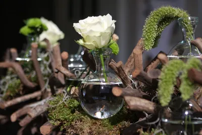 Produktbild von Kugelvase aus Glas, Durchmesser von 40-80mm, Größe wählbar | Glas-Kugel-Vasen , Größe:Ø 50 mm