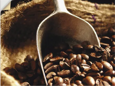 Produktbild von ARTland Wandbild, selbstklebend Kaffee Größe: 40x30 cm