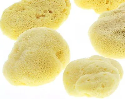 Produktbild von Babyschwamm Silk Badeschwamm, Beste Naturschwamm Levantiner Qualität aus dem Mittelmeer, 6 cm