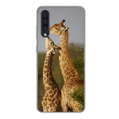 Produktbild von MuchoWow® Handyhülle Schutzhülle Hülle für Samsung Galaxy A50 Giraffe - Baum - Kalb - Porträt Silikon Softcase Handy Hülle - Mobiltelefonhülle