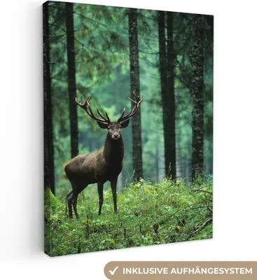 Produktbild von MuchoWow® - Leinwandbilder - Hirsche - Wald - Bäume - Tiere - Natur, Wandbild, Wanddeko Bilder Wohnzimmer, 60x80cm