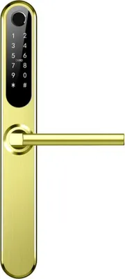 Zdjęcie produktu dla Uchwyt BOT Smart TTLock H1 złoty