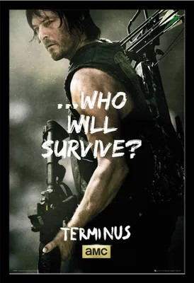 Immagine prodotto di Walking Dead - Poster - Daryl Survive + cornice rimovibile, Shinsuke® Maxi MDF nero, disco acrilico