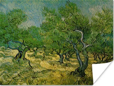 Produktbild von MuchoWow® Poster Olivenhain - Vincent van Gogh 160x120 cm - Foto Plakat