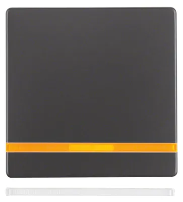 Produktbild von Berker 16216086 - Anthrazit - Duroplast - 10 Stück(e)