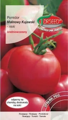 Produktbild von Samen von Kujawski Himbeere Tomate 0.5g - Torseed