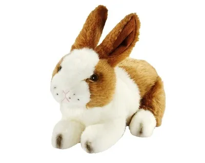 Produktbild von Anima 3888 Kaninchen weiß braun liegend 24 cm Kuscheltier Stofftier Plüschtier