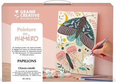 Produktbild von Malerei nach Zahlen 20 x 30 Schmetterlinge – Graine Creative