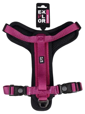 Image de Gamelle Duvo+ Y Fashion fuchsia, taille : L