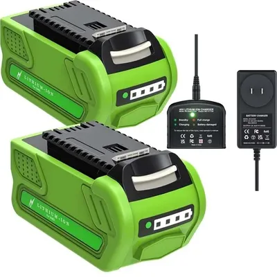 Image de Batterie lithium-ion, 40V, capacité 8000mAh, comprenant 2 batteries et 1 chargeur
