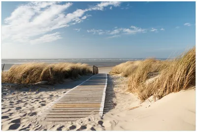 Produktbild von Wallario Premium Glasbild, freischwebende Optik, kräftige Farben, Größe 90 x 60 cm Motiv Auf dem Holzweg zum Strand