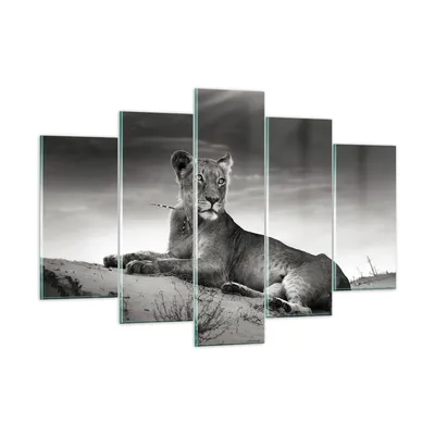 Produktbild von Bilder auf glas - Tierwelt weiblich katze Tier - 150x100cm - Glasbilder - Wandbilder - Kunstdruck - zum Aufhängen bereit - Wanddekoration aus Glas - Glas Bilder - Wandbild auf Glas - GEA150x100-3165