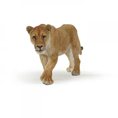 Image de Papo- Figurine Lionne 13X3X7CM, (50028) PAPO