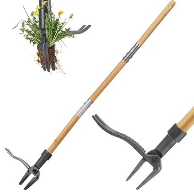 Unkrautstecher mit 113 cm Stiel, 4 Krallen, Bambusgriff
