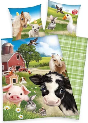 Produktbild von HERDING Animal Club Bettwäsche-Set ‘Farm World’ – 135×200 cm, 100% Baumwolle, Renforcé, Deckenbezug im Lieferumfang enthalten, Kissenbezug enthalten